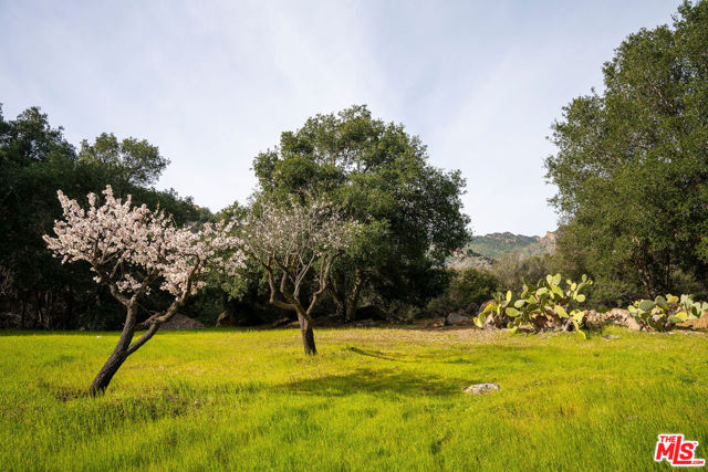 25834 Piuma Road photo 7