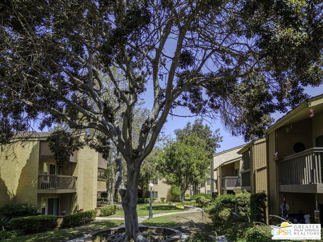 Mature Trees
