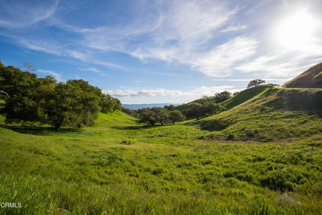 Detail Gallery Image 43 of 54 For 3570 Woodstock Rd, Santa Ynez,  CA 93460 - 6 Beds | 5/1 Baths