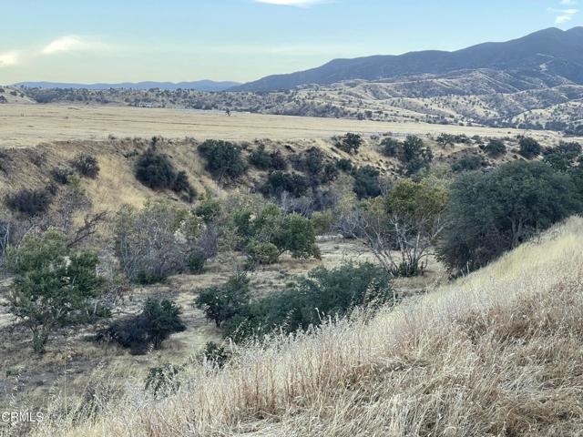 Detail Gallery Image 7 of 21 For 7451 Foothill Rd, –,  CA 93254 - – Beds | – Baths