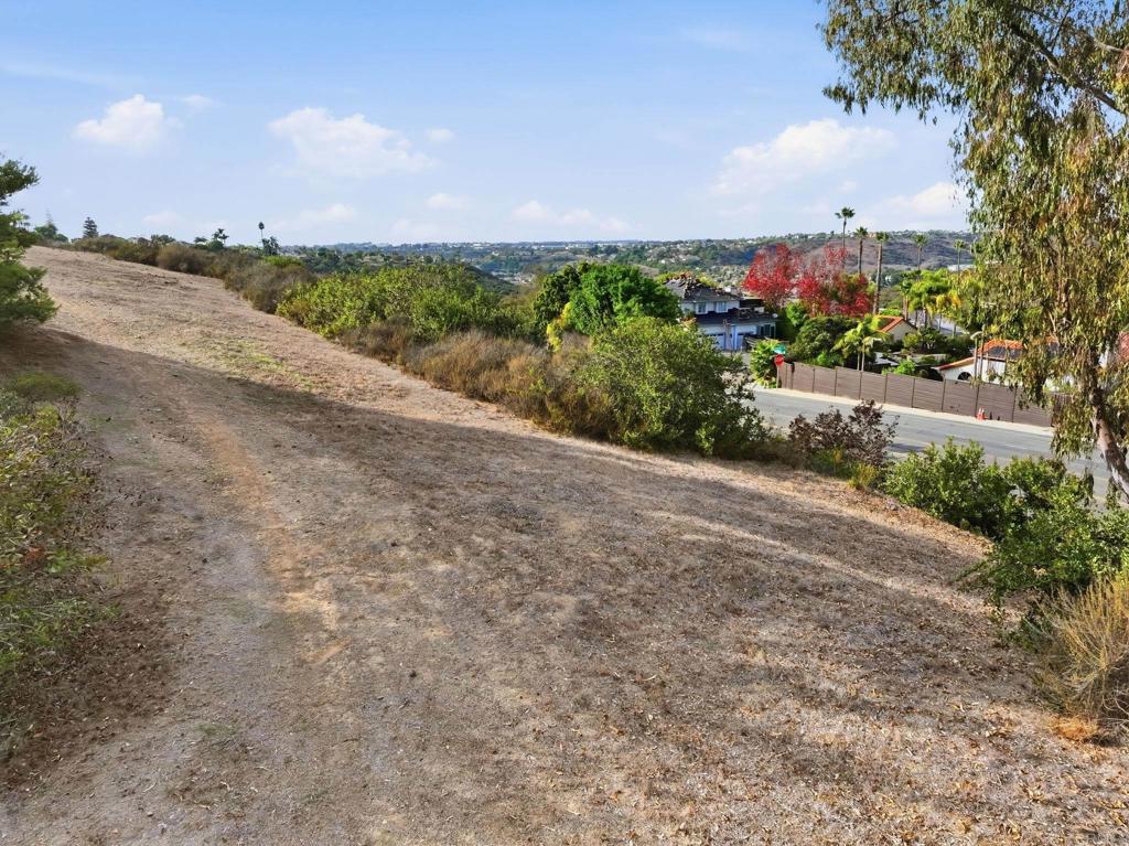 6515 El Fuerte Street - photo 3