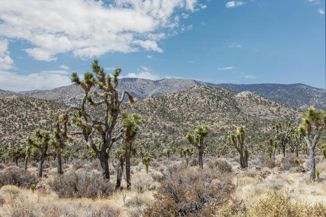 112 Angel View Road, Pioneertown CA: https://media.crmls.org/mediaz/130671de-407b-4577-97f7-3c534d8b5287.jpg