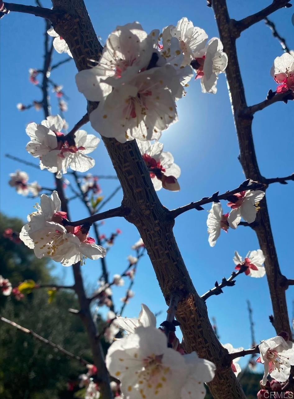 MLS #NDP2410465 image #20