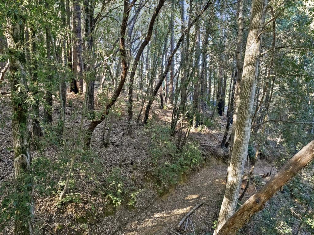 MLS #ML81986063 image #19