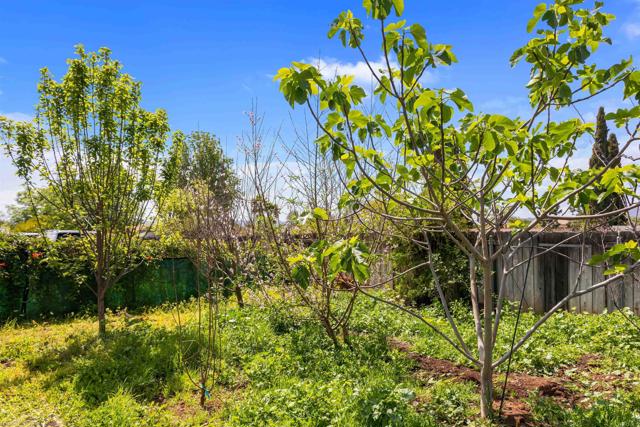 Detail Gallery Image 67 of 70 For 1756 N 1st St, El Cajon,  CA 92021 - 3 Beds | 2/1 Baths