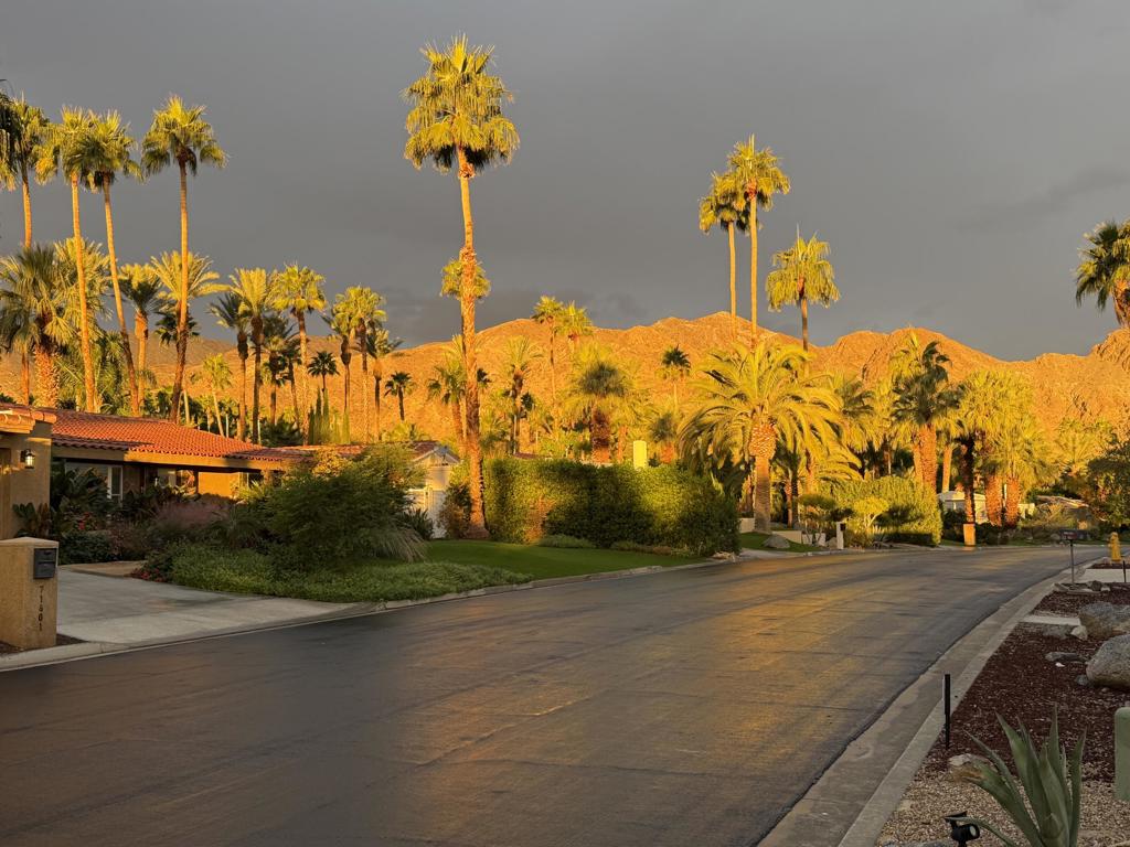 MLS #219138843DA image #72