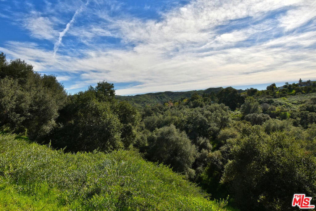 https://media.crmls.org/mediaz/131f7956-24f9-4270-9207-722c2fce7b10.jpg?preset=X-Large