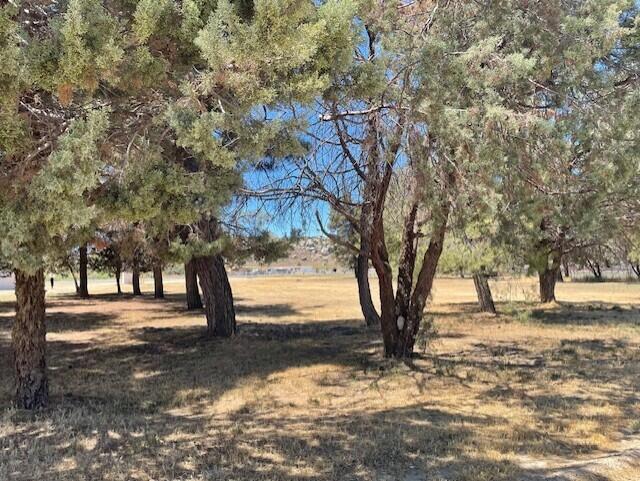49275 Flightline Way, Aguanga CA: https://media.crmls.org/mediaz/13209770-eb0d-419a-8a24-be8fb854627e.jpg