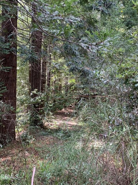 Detail Gallery Image 18 of 41 For 23501 Branscomb Rd, Westport,  CA 95488 - – Beds | – Baths