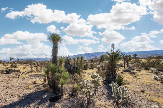 5610 Yucca Mesa Road, Yucca Valley CA: https://media.crmls.org/mediaz/1338d284-d29a-401b-ae96-9d2dcd0189f7.jpg