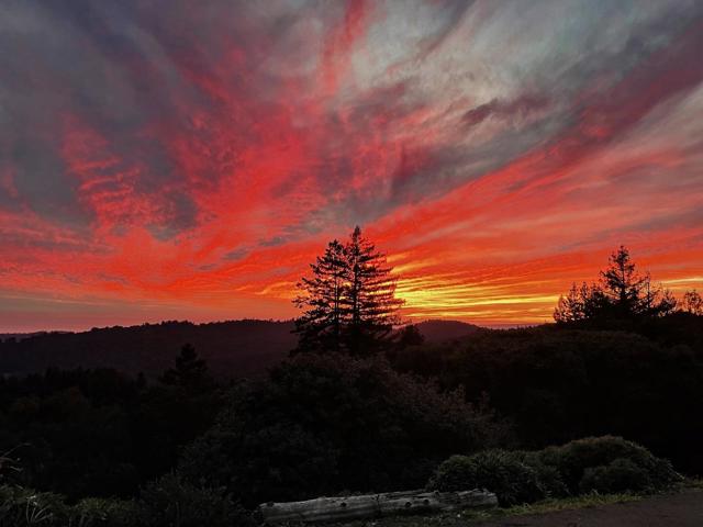 1584 Tindall Ranch Road, Corralitos CA: https://media.crmls.org/mediaz/134a137c-edf3-49fe-912b-a930ea22762e.jpg