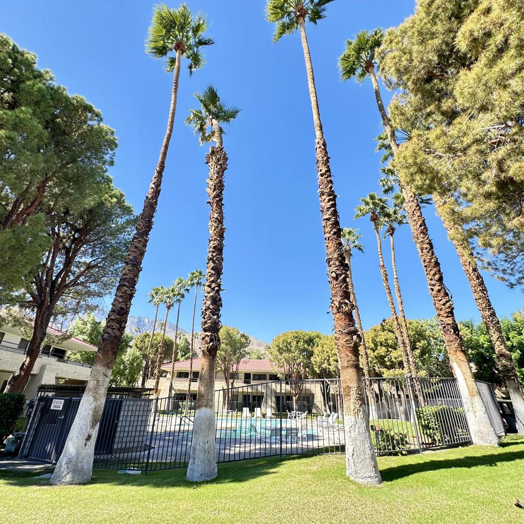 MLS #219137580DA image #15