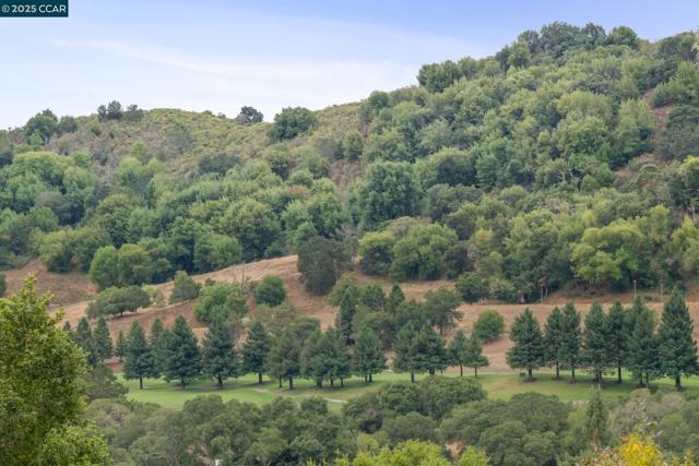 12 La Cresta Rd, Orinda CA: https://media.crmls.org/mediaz/13566e3e-9b87-4709-81b4-42851e559c50.jpg