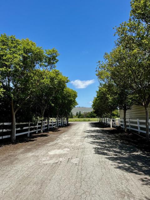 10495 Garcia Lane, Gilroy CA: https://media.crmls.org/mediaz/135e7886-8159-465c-80db-3c4f33c811f6.jpg