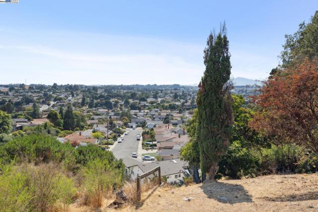 1165 Amend St, Pinole CA: https://media.crmls.org/mediaz/136d6125-c0f1-4bf4-9043-1d45005d2f5b.jpg