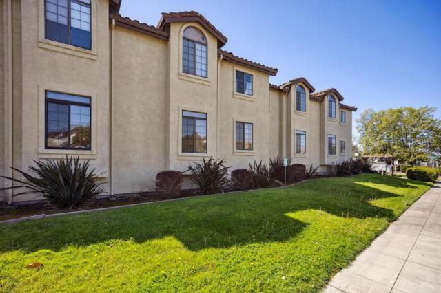 72 Washington Square Drive, Milpitas CA: https://media.crmls.org/mediaz/1370725f-8889-4e6c-a6f5-9e7d71dfe71e.jpg