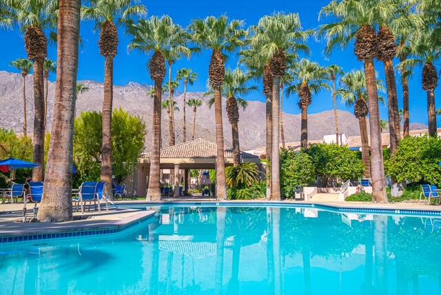 500 E Amado Road, Palm Springs CA: https://media.crmls.org/mediaz/13741971-e4d9-4344-81d6-f75ae56d1e50.jpg