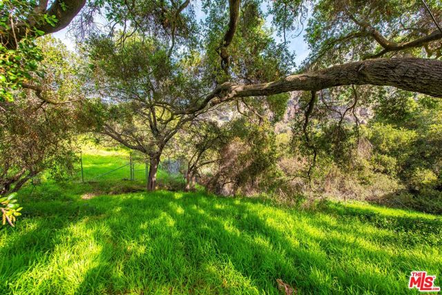 19511 Sunken Trail, Topanga CA: https://media.crmls.org/mediaz/137af6c0-b441-4551-8dc3-0d55438b3e87.jpg