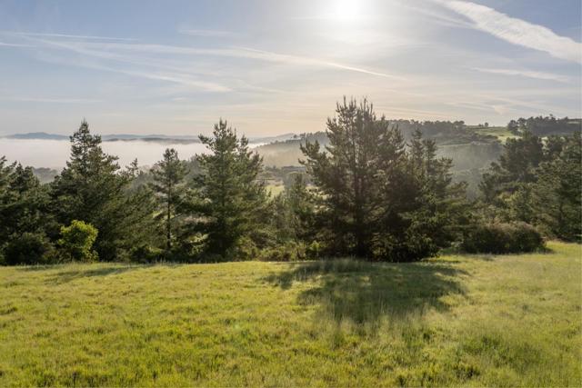 7925 Cinquenta (Lot 97), Carmel CA: https://media.crmls.org/mediaz/137f6d87-79da-4e2f-a486-17d0263f1058.jpg