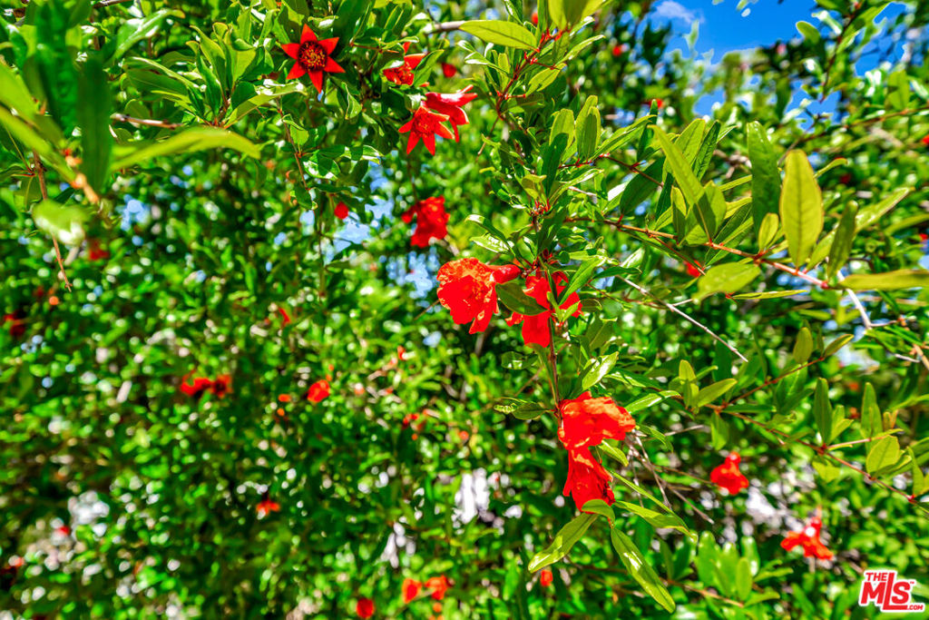 https://media.crmls.org/mediaz/1382e37e-d8b9-476c-ad9e-a08cb340b569.jpg?preset=X-Large