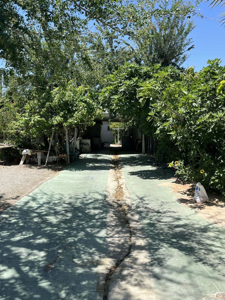 MLS #219138573DA image #4