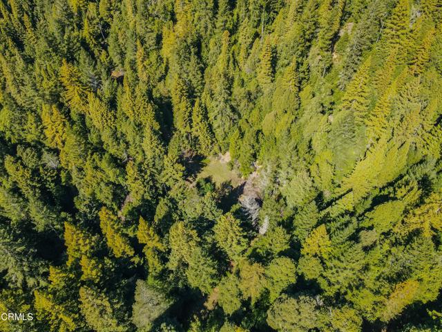0 Irmulco Road, Willits CA: https://media.crmls.org/mediaz/138e3195-eb02-43c5-a2e5-341c45dc539a.jpg