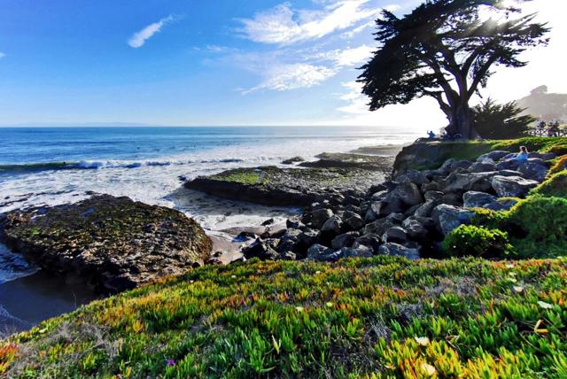 119 Coalinga Way, Santa Cruz CA: https://media.crmls.org/mediaz/13974d0a-a809-48a3-93a3-0ba0ea6f9a1c.jpg