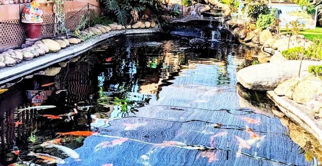 Detail Gallery Image 36 of 64 For 6951 W Lilac Rd, Bonsall,  CA 92003 - 3 Beds | 2 Baths