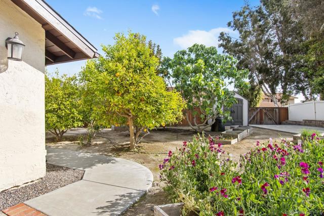 12216 Riesling Ct, San Diego CA: https://media.crmls.org/mediaz/139fabac-83a9-4351-b8c9-514f7bb8ca35.jpg