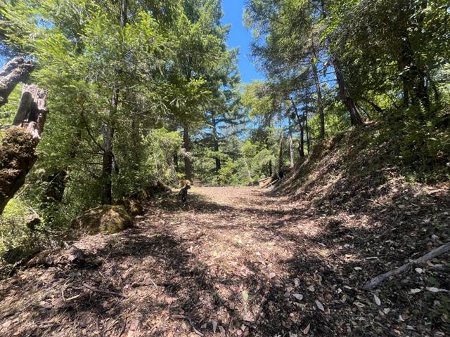 0 Deer Creek (Lot 21), Boulder Creek CA: https://media.crmls.org/mediaz/13a75520-d2f7-45b4-91b0-5e24cbf60cc7.jpg