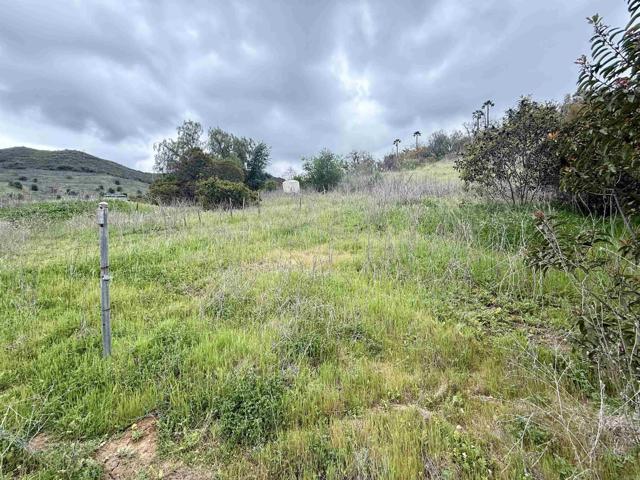 0 Alex Road, Fallbrook CA: https://media.crmls.org/mediaz/13af05c8-cff9-4012-a118-e8a9e55265fb.jpg