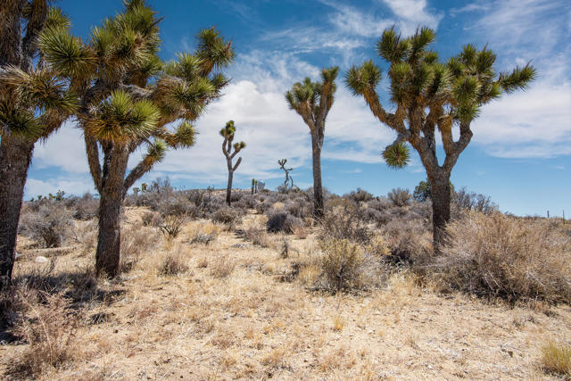 112 Angel View Road, Pioneertown CA: https://media.crmls.org/mediaz/13b3500a-d20e-4645-9eb1-bd0abc221c3b.jpg