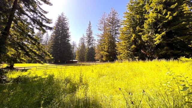 3675 Bonny Doon Road, Santa Cruz CA: https://media.crmls.org/mediaz/13b6db4a-9a0f-4fcc-8708-d715ff180208.jpg