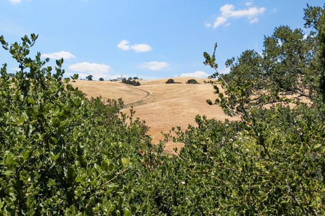 14449 Liddicoat Circle, Los Altos Hills CA: https://media.crmls.org/mediaz/13b6e1cc-cd6d-43cd-b46d-fbbfd814b34e.jpg