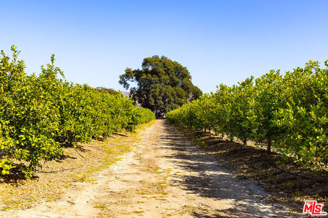13721 W Telegraph Road, Santa Paula CA: https://media.crmls.org/mediaz/13c46082-0845-4562-95c6-33ce2c1159c9.jpg