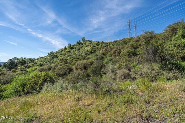 Detail Gallery Image 6 of 36 For 4700 Rising Hill Rd, Altadena,  CA 91001 - – Beds | – Baths