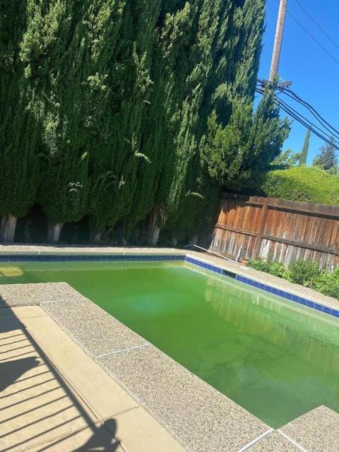 55 Carmel Way, Tracy CA: https://media.crmls.org/mediaz/13d05225-1909-4057-b90f-1d6e1f50f7ad.jpg