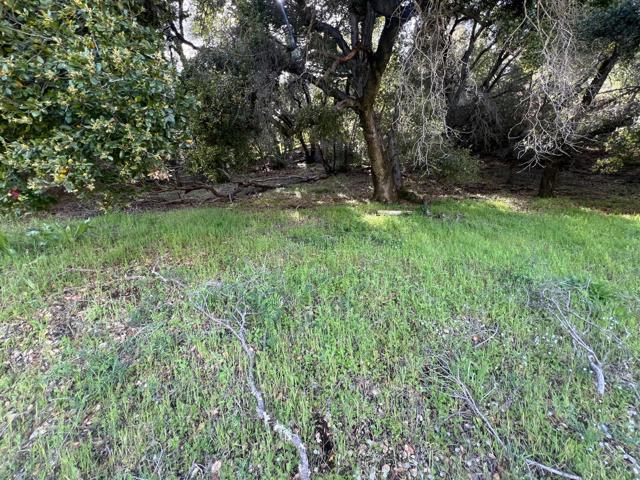 5390 Little Uvas Road, Morgan Hill CA: https://media.crmls.org/mediaz/13d44410-154f-44aa-8e8f-6ba0a5a4efab.jpg