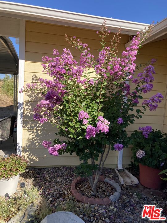 31229 Rolling Meadow Court, Coarsegold CA: https://media.crmls.org/mediaz/13ea3e1c-fe90-492c-85ac-fdeeb20525f4.jpg