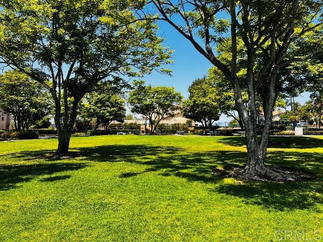 1240 Avenida Fragata - photo 6