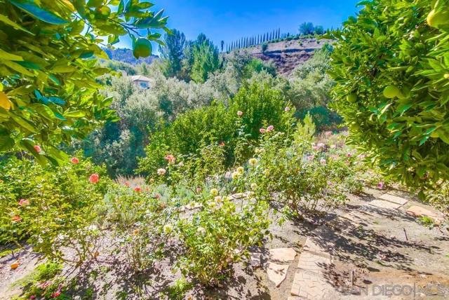 15731 Pauma Valley Dr., Pauma Valley CA: https://media.crmls.org/mediaz/13f935ac-35de-4168-8e0d-2d378aea8c78.jpg