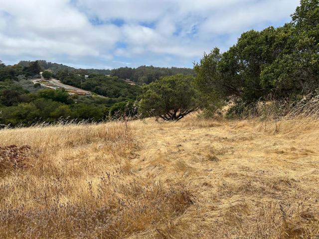 3230 Hillman Lane, Royal Oaks CA: https://media.crmls.org/mediaz/13ffcdf4-5d3f-48b6-8931-cdf1f7400f7b.jpg