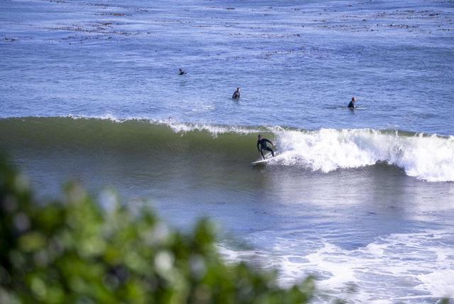 1610 Bulb Avenue, Santa Cruz CA: https://media.crmls.org/mediaz/14068aa0-5a85-4d1c-b412-d3eb91a332fc.jpg