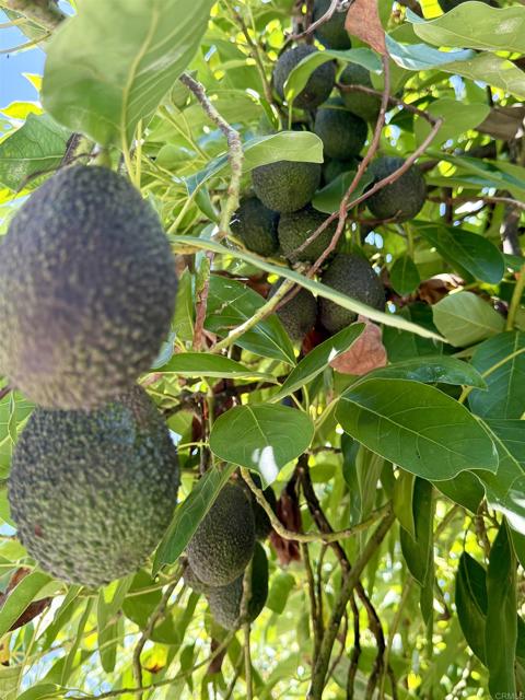 Image 72 of 75 For 3137 Valley Parkway