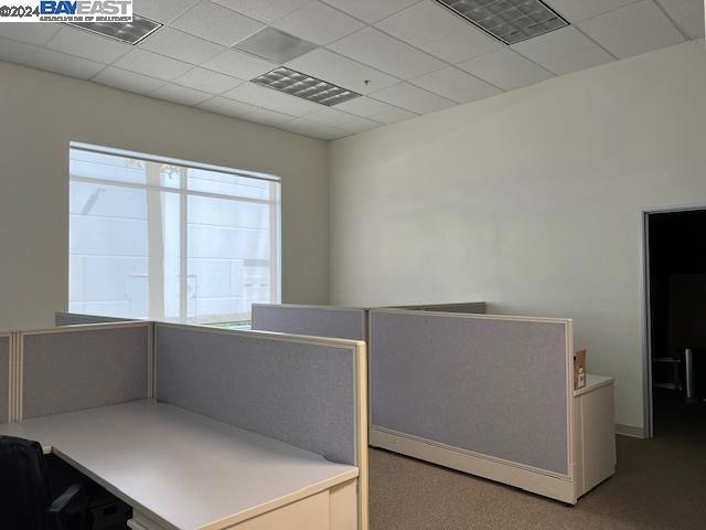 Open Office Area