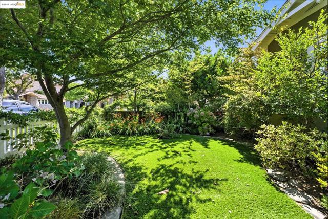 1020 Channing Ave, Palo Alto CA: https://media.crmls.org/mediaz/140d5270-e0b5-4753-b29f-fd87b71c78a9.jpg