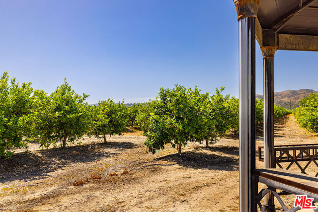 13721 W Telegraph Road, Santa Paula CA: https://media.crmls.org/mediaz/140f208f-9a1e-4ae5-af9f-935e85269772.jpg