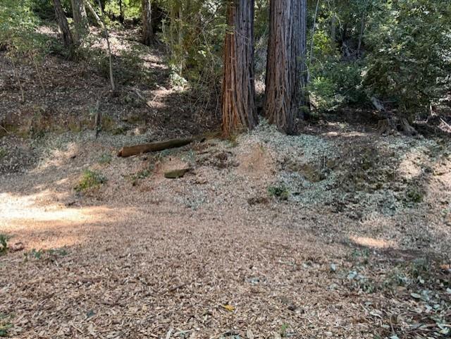 15998 Stetson Road, Los Gatos CA: https://media.crmls.org/mediaz/14113233-b180-4acb-9fcf-c7878413f8ee.jpg