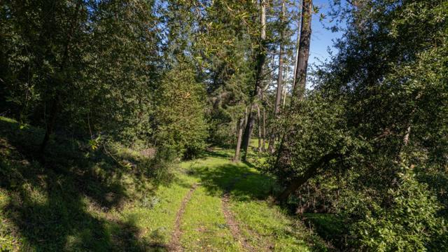 22065 Old Santa Cruz Highway, Los Gatos CA: https://media.crmls.org/mediaz/1416fbcd-aea6-4305-b3af-0c809d30e556.jpg