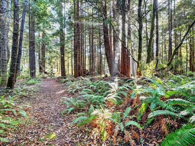Detail Gallery Image 37 of 47 For 19400 Dorffi Rd, Fort Bragg,  CA 95437 - 3 Beds | 2/1 Baths